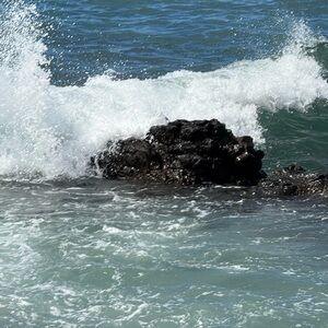 Meet your Posher, Angelina